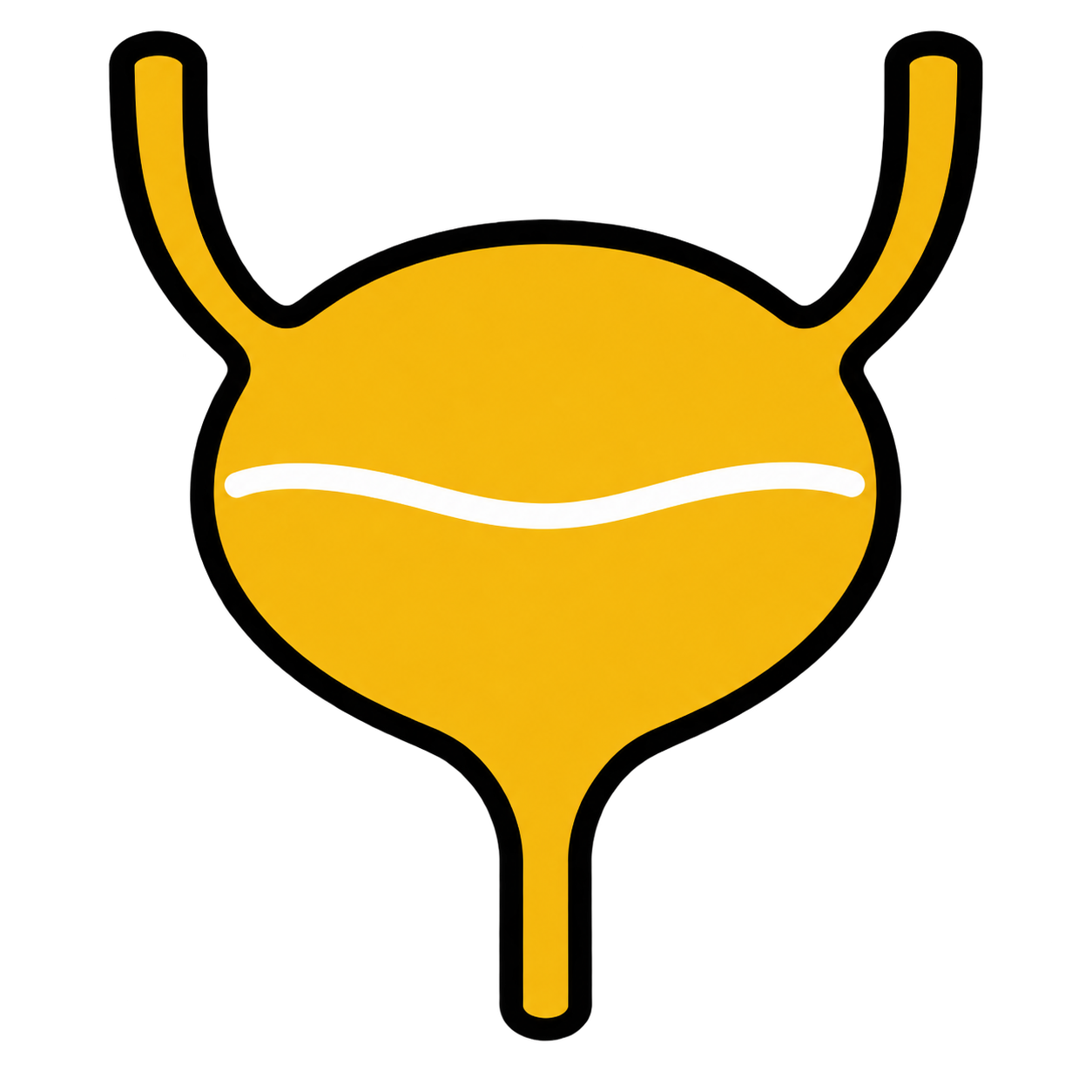 Bladder Control & Urinary Health
